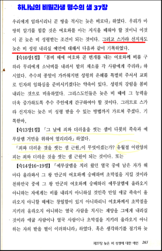 늦은비2.png